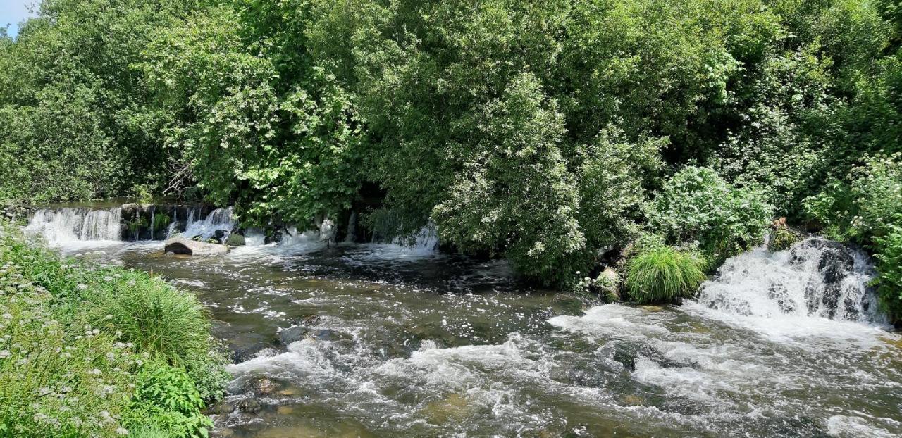 Dream Corner By Waterfalls, 20 Min To Oporto, By Porto With Love Lda *