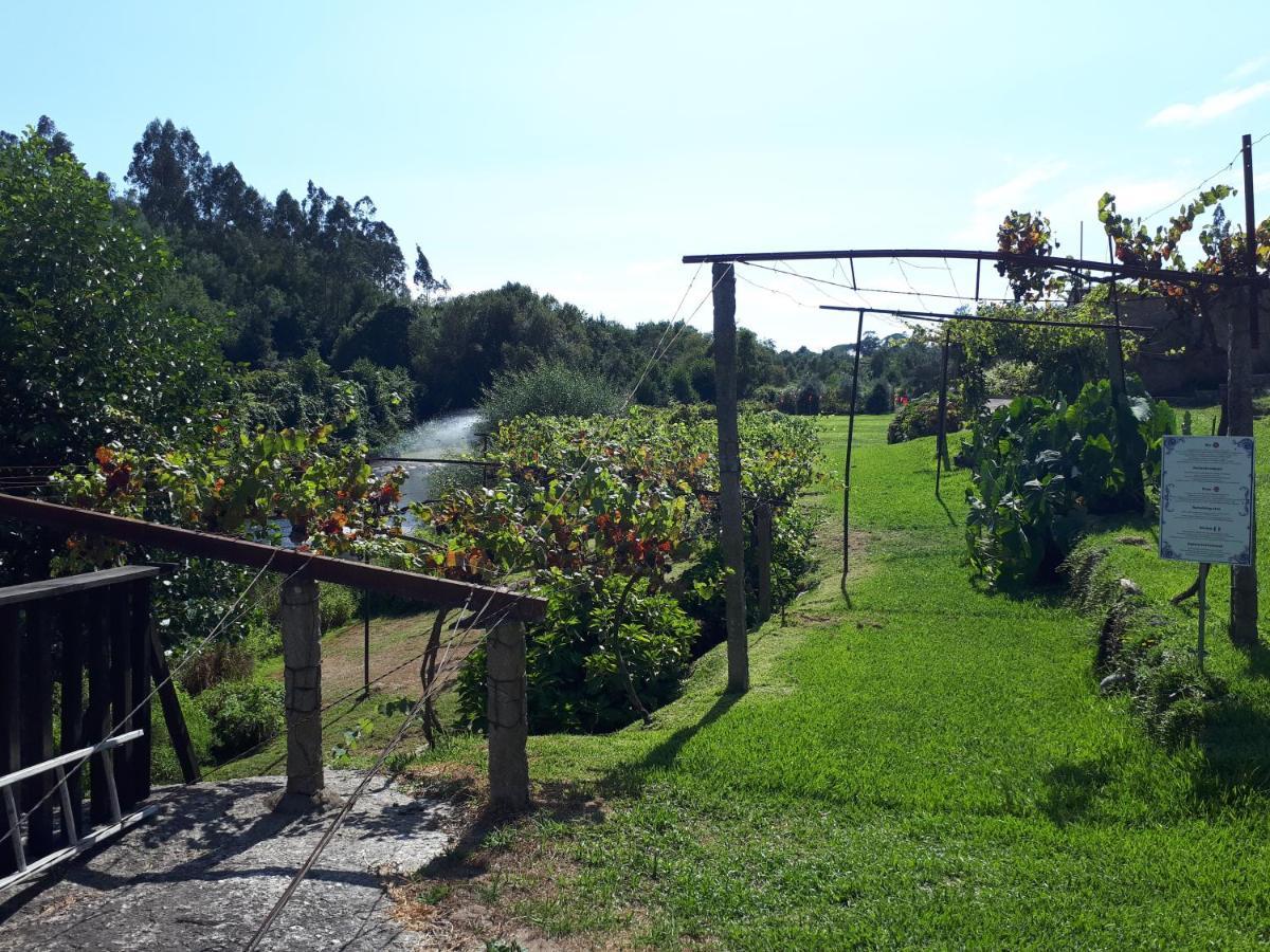 Country house Dream Corner By Waterfalls, 20 Min To Oporto, By Porto With Love Lda Parada (Porto)