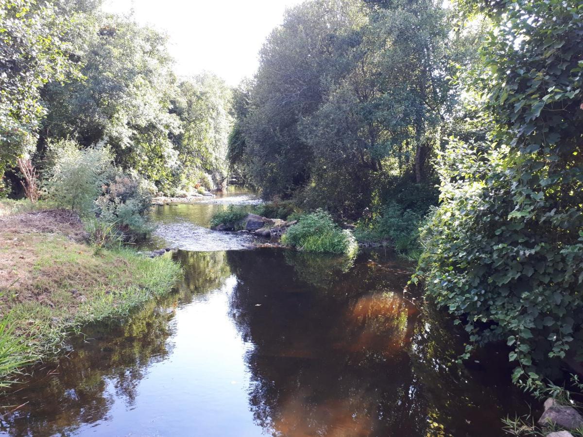 Country house Dream Corner By Waterfalls, 20 Min To Oporto, By Porto With Love Lda Parada (Porto)